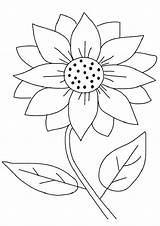 Sunflower Coloring Pages Maximilian Printable Worksheets Parentune Flowers Preschoolers sketch template