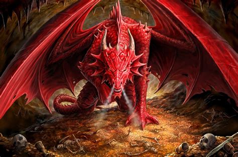 red dragon dragons photo  fanpop