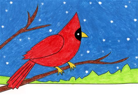 easy   draw  cardinal tutorial  cardinal coloring page