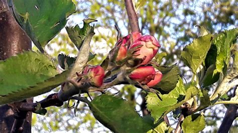 mir ist gerade nicht nach winter  foto bild pflanzen pilze