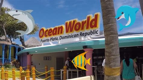 Our Visit At Ocean World Puerto Plata Dominican