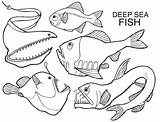 Sea Coloring Deep Pages Creature Creatures Templates Fish Animal Color Printable Kids Clipart Getcolorings Library Getdrawings Popular Kristin Hill sketch template