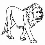 Lion Simple Coloring Animals Kids sketch template