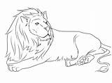 Lion Coloring Pages Animals Print sketch template