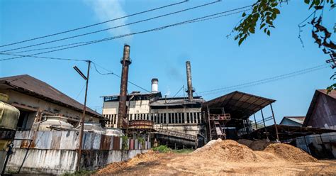 pabrik gula tasikmadu sejarah gula dunia  nusantara