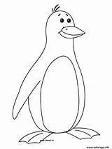 Pingouin Coloriage Facile Dessin sketch template