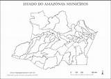 Amazonas Municípios Mapas Municipios Contorno Trabalhos sketch template