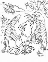 Griffin Hermoso Dibujos Mythical Mystical Dibujosonline Ausdrucken sketch template