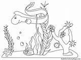 Ocean Coloring Pages Sea Under Kids Plants Printable Underwater Animals Ecosystem Drawing Scene Marine Clipart Aquatic Sheets Print Leagues Preschool sketch template