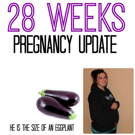 weeks pregnancy update officially  trimester
