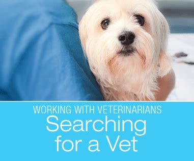 searching   vet    criteria