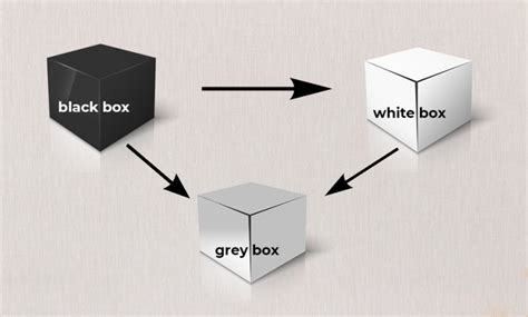 grey box testing main concepts  peculiarities testmatick