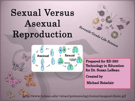 Sexual Versus Asexual Reproduction