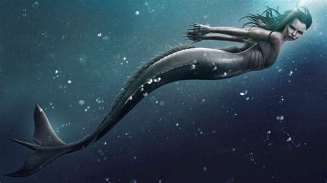 Mermaid Series Siren Cancelled After Three Seasons Cc
