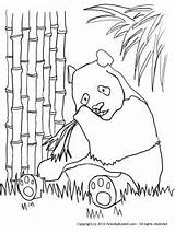 Bamboo Panda Coloring Pages Eating Bear Printable Drawing 300px 33kb Coloringbay Template Getdrawings Getcolorings sketch template
