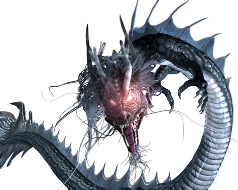 dragon png transparent image  size xpx