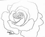 Rose Coloring Derrick Pages Red Getdrawings Getcolorings sketch template