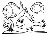 Fish Coloring Clipart Outlines Library Children Clip sketch template