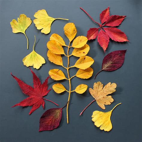 paper autumn leaves  behance