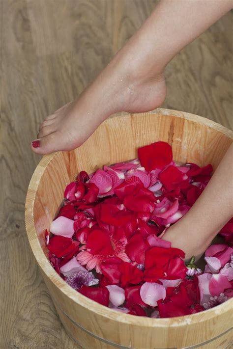 foot spa stock image image  beauty health toes flowers