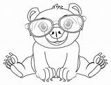 Coloring Glasses Panda Muzzle Pandas sketch template