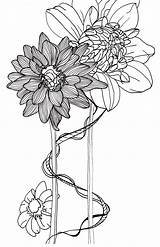 Drawing Line Flower Flowers Drawings Dahlia Simple Botanical Clip Dahlias Floral Tattoo Sketches Illustration Illustrations Coloring Nature Pencil Explore Paintingvalley sketch template