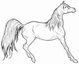 Mustang Horse Coloring Pages Color Getcolorings Printable Horses sketch template