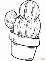 Coloring Cactus Pages Potted Printable sketch template