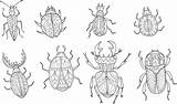 Coloring Insect Pages Advanced Kidspressmagazine Bee Insects Bugs Beetle Sheets Adults Book Now Choose Board sketch template