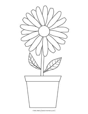 daisy flower printable template  merry