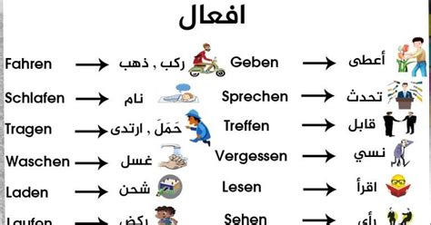 kumpulan kosa kata bahasa arab sehari hari psychology stefi