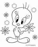 Coloring Pages Bird Tweety Printable Ages Develop Creativity Recognition Skills Focus Motor Way Fun Color Kids sketch template