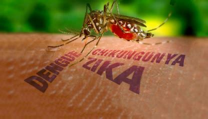 curacao  sufficiently prepared  outbreak dengue zika  chikungunya curacao chronicle