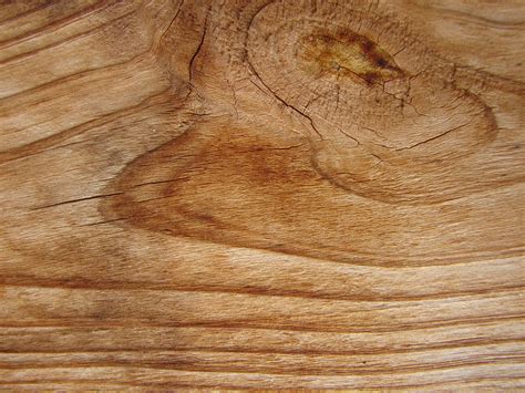 natural wood grain textures  patterns psd mockups