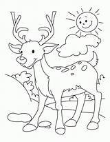 Coloring Pages Doe Buck Popular Deer sketch template