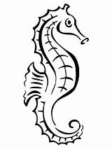 Seahorse Coloring Outline Pages Tattoo Line Drawing Static Print Printable Tattooimages Biz Fish Recommended Clipartmag Color sketch template