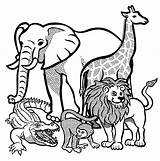 Animal Animals Zoo African Coloring Pages Lineart Line Kids Choose Board Endangered Sheets sketch template