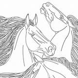 Coloring Adults Pages Horse Horses Printable sketch template