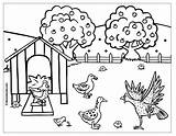 Coloriage Poule Hen Mewarnai Ayam Rousse Petite Colorier Bebek Coloriages Dinde Fowl Imprimer Oie Buzz2000 Ternak Lecture Kelinci sketch template