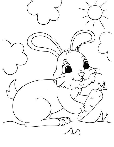 bunny rabbit coloring pages bunny coloring pages animal coloring