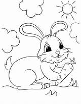 Carrot Conejos Conejo Zanahoria Sunny Lindo Rabbits Pobarvanke Imprimir Preescolar Ninas Velveteen Supercoloring Doghousemusic sketch template
