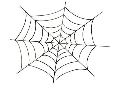 watercolor illustration   spider web  png