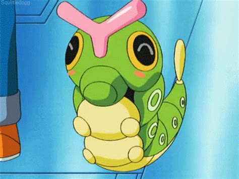 Top 10 Favourite Bug Type Pokemon Pokémon Amino