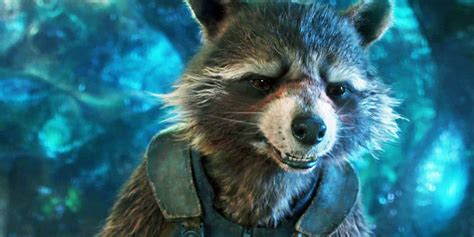 guardians of the galaxy why does rocket raccoon collect prosthetics