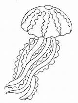 Jellyfish Coloring Pages Spongebob Getcolorings Color sketch template