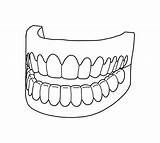 Teeth Coloring Dental Health Color Size Print sketch template