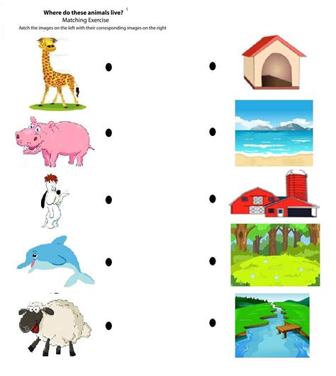 animal habitat worksheets  kindergarten   worksheets samples
