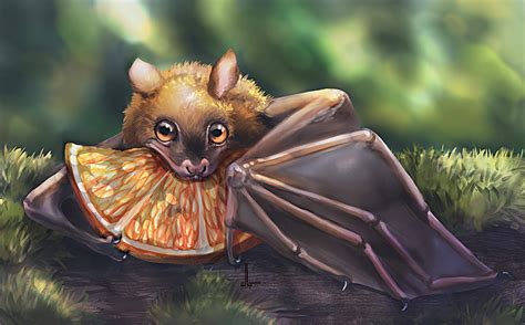 fruit bat  designinglua  deviantart