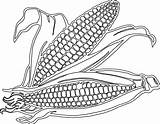 Corn Clipart Coloring Pages Drawing Cartoon Field Cob Stalk Printable Clip Transparent Color Getdrawings Maize Clipartix Line Print Library Yellow sketch template
