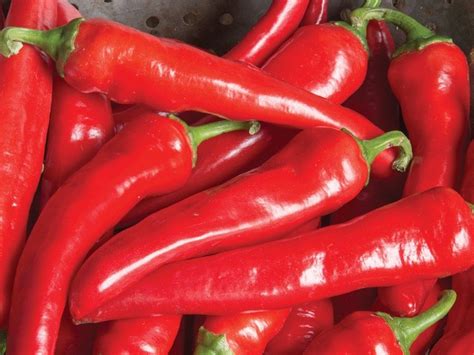 the hottest pepper varieties to try this year
